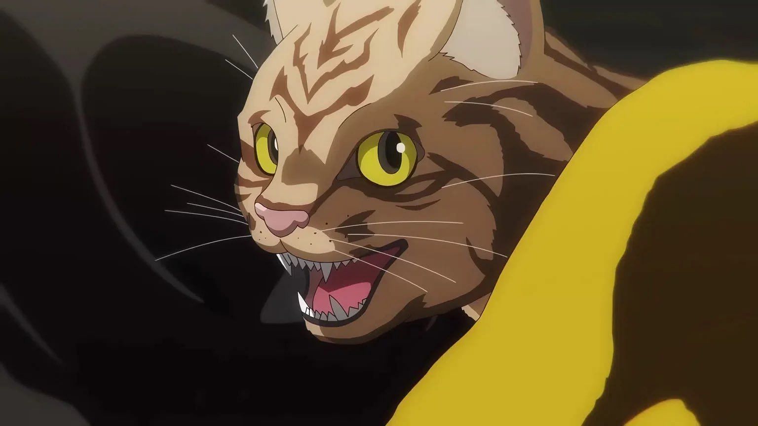 One of the cats as seen in the anime (Image via OLM Team Masuda)